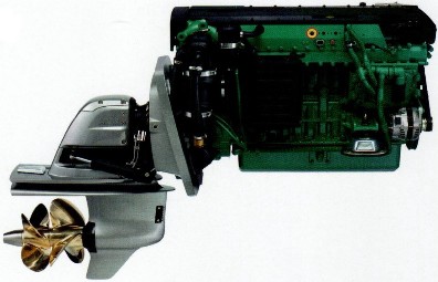 d6 11.jpg